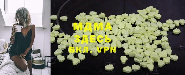 шишки Белокуриха