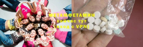 шишки Белокуриха