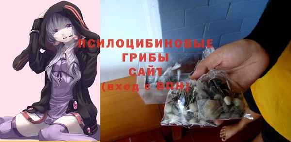 шишки Белокуриха