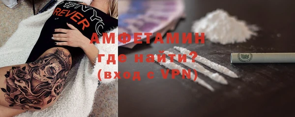 ПСИЛОЦИБИНОВЫЕ ГРИБЫ Новозыбков