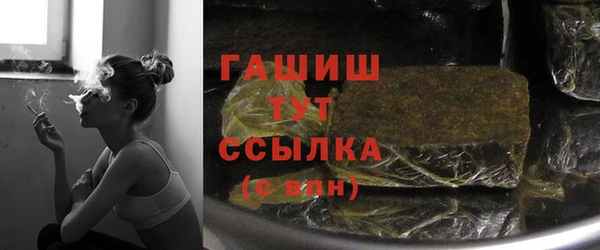 шишки Белокуриха