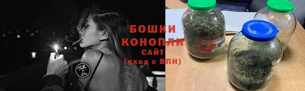 шишки Белокуриха