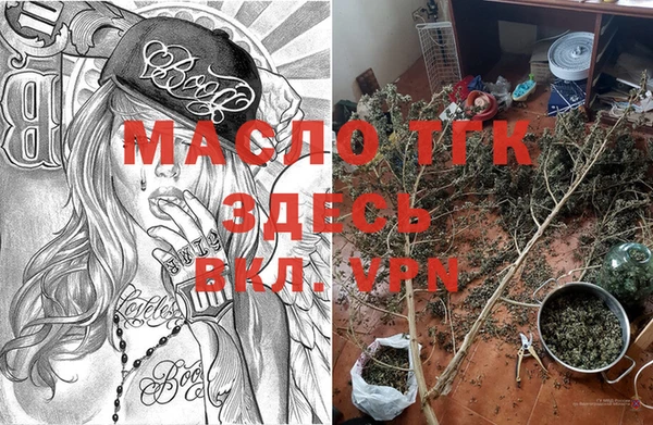 шишки Белокуриха