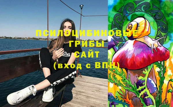 apvp Белоозёрский