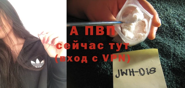 шишки Белокуриха