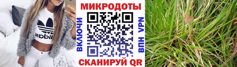 Галлюциногенные грибы мицелий  Невель 